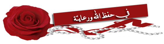 bntpal_1424334772_74