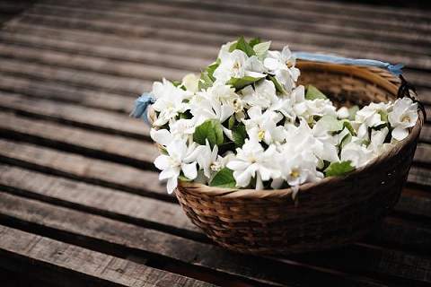 bntpal_1424348937_14