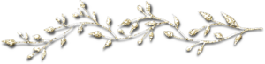 bntpal_1424348938_21
