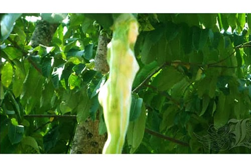 bntpal_1424351239_59