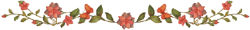 bntpal_1424367019_86