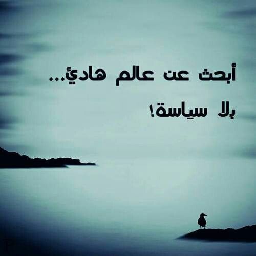  bntpal_1424375633_81