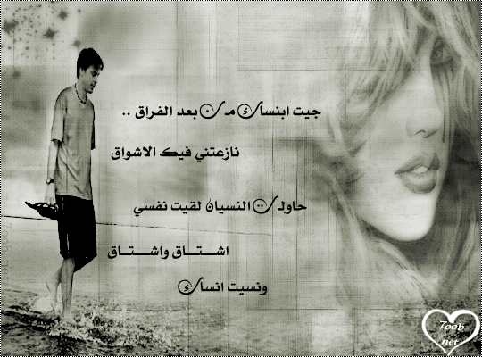 bntpal_1424453834_80