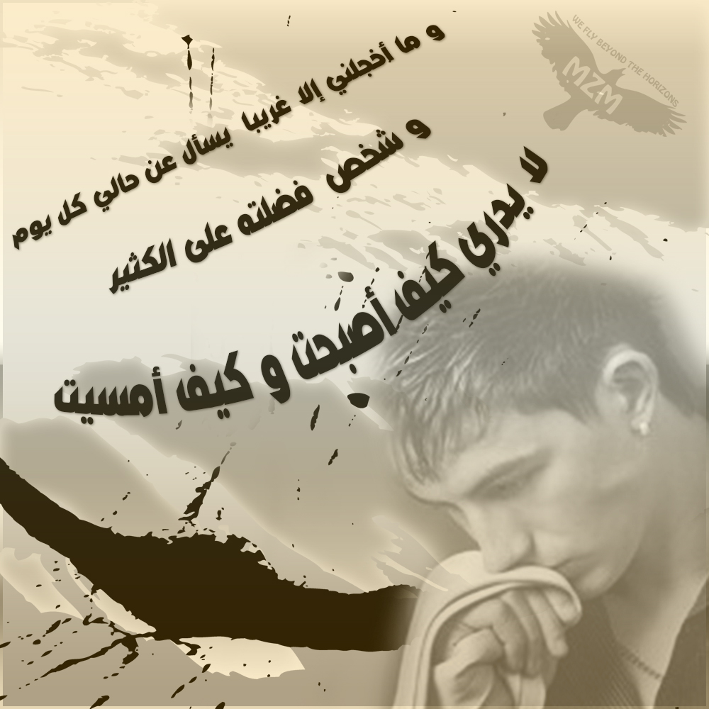 bntpal_1424609108_32