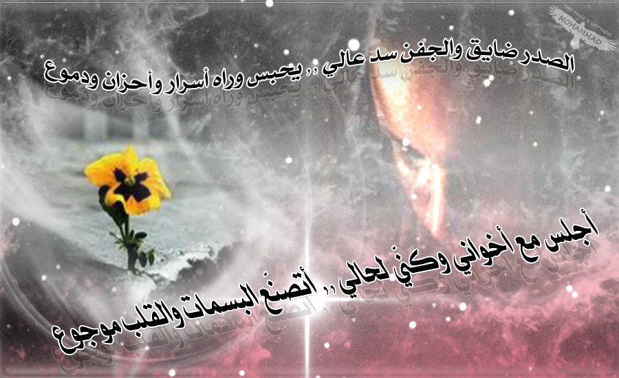 bntpal_1424610175_50