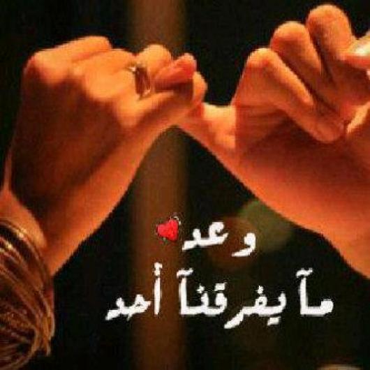  bntpal_1424771523_87
