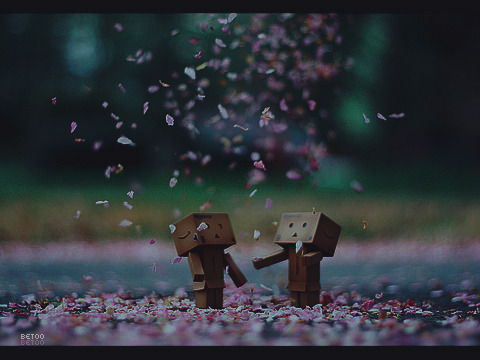 2015 2016 bntpal_1425030125_82