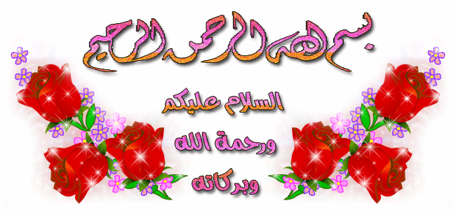 bntpal_1425041258_24