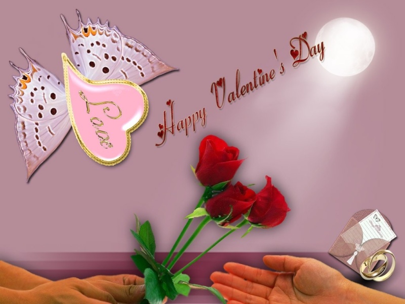 bntpal_1425041259_85