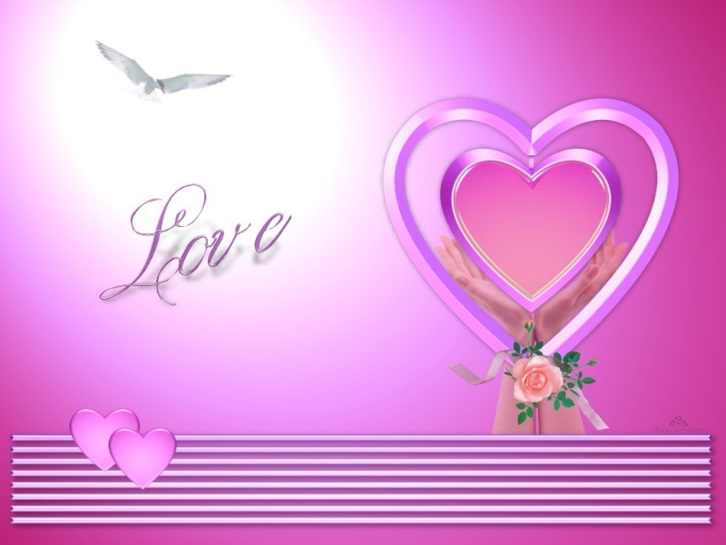 bntpal_1425041265_50