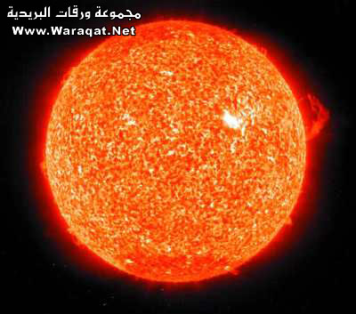 bntpal_1425126679_42