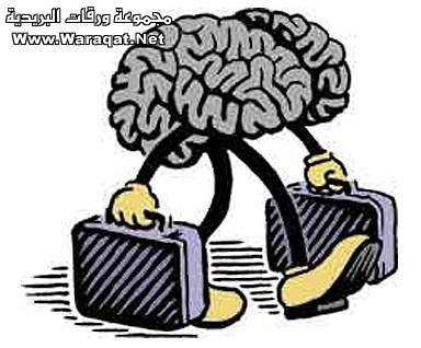 bntpal_1425126680_25