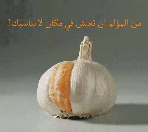 bntpal_1425225960_76