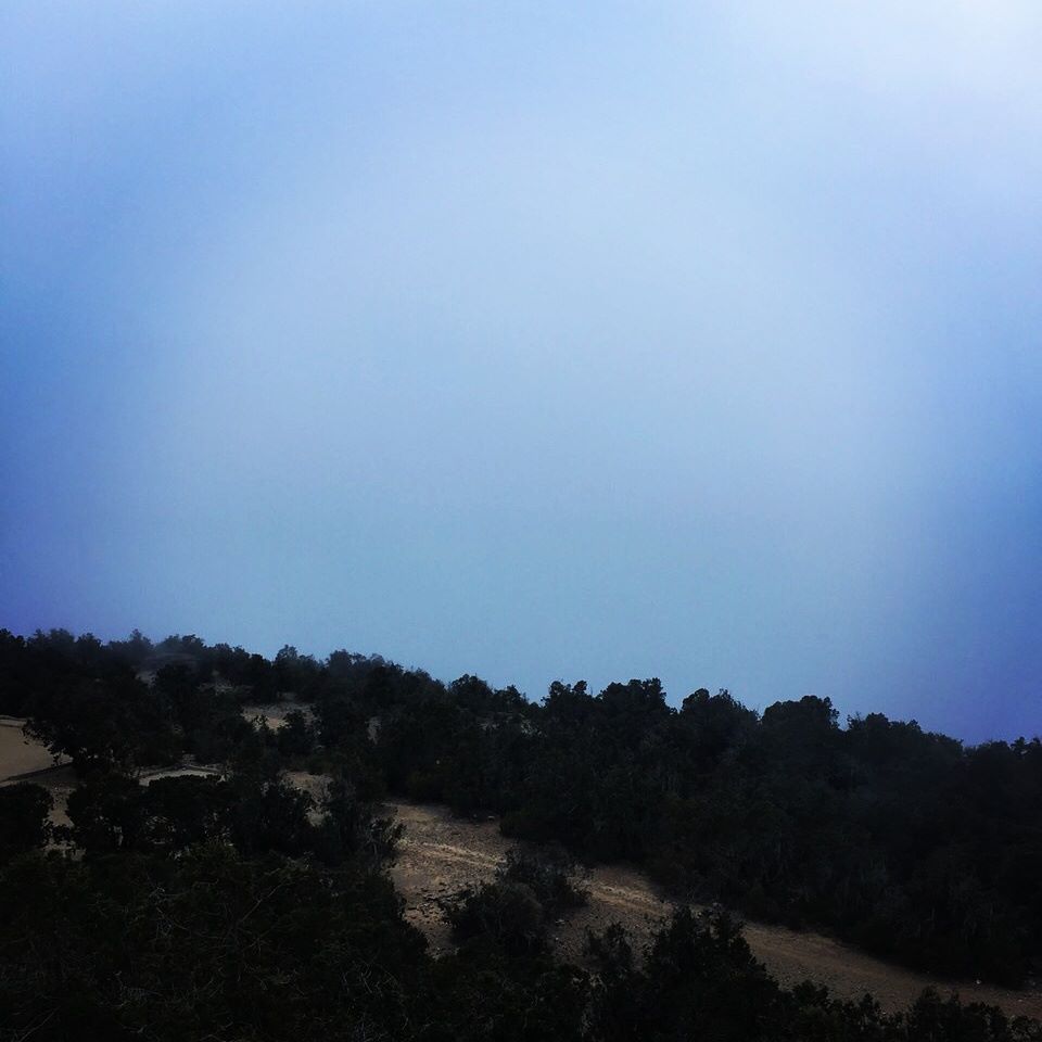  bntpal_1425248915_95