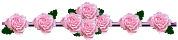  bntpal_1425322654_84