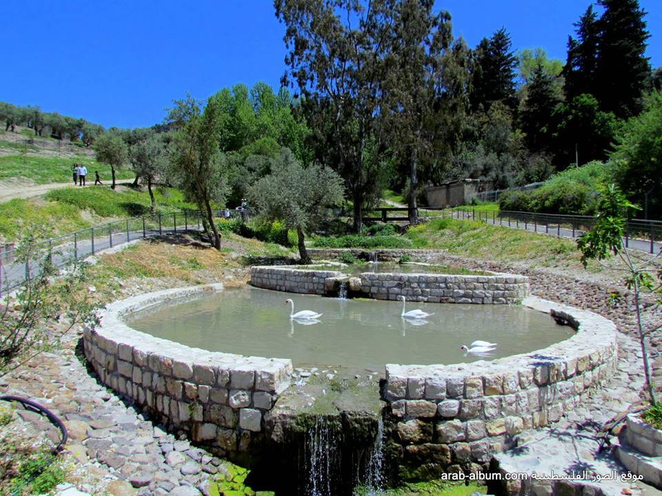 bntpal_1425399456_38