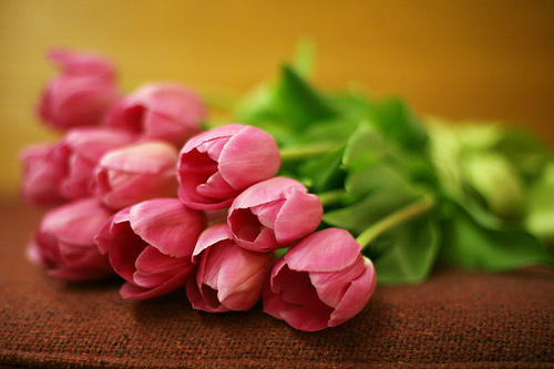 bntpal_1425433750_21
