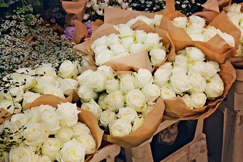bntpal_1425433752_20