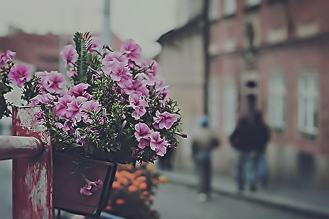 bntpal_1425485325_10