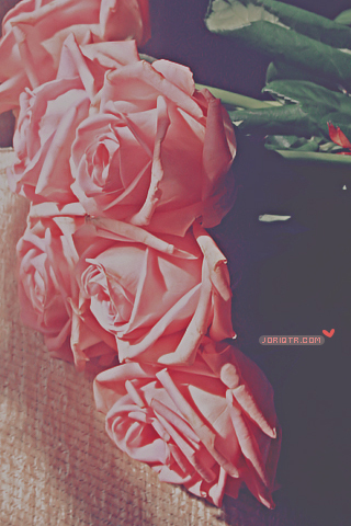  2015 2016 bntpal_1425531286_50