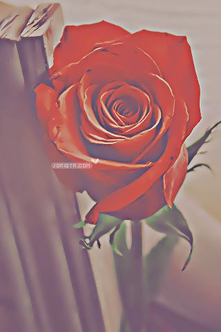  2015 2016 bntpal_1425531286_98
