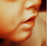  bntpal_1425721161_81