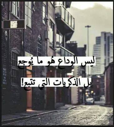- bntpal_1425925593_39