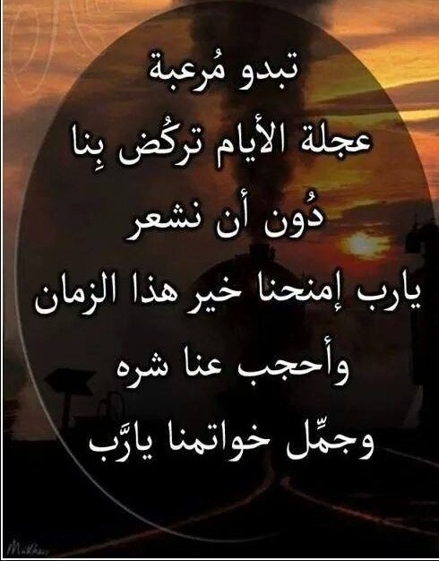 - bntpal_1425925596_33