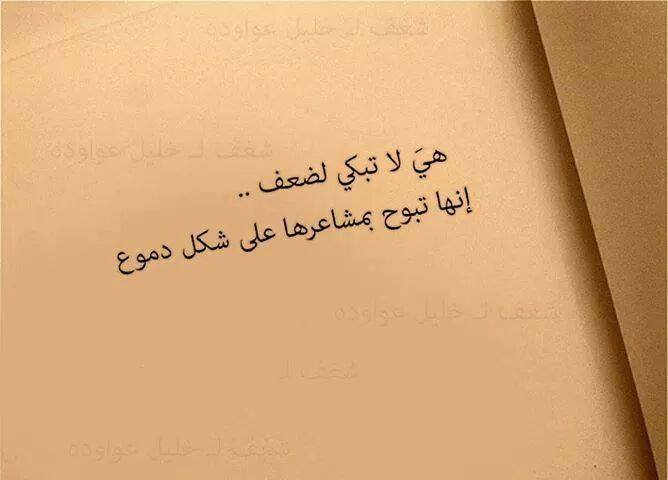 - bntpal_1425925596_99