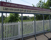  bntpal_1425929458_91