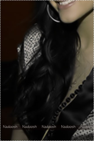 ٢٠١٥  ٢٠١٦ bntpal_1426003231_20