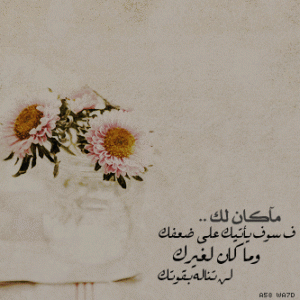 bntpal_1426021504_87