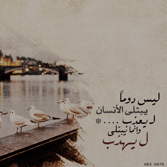 bntpal_1426021506_70