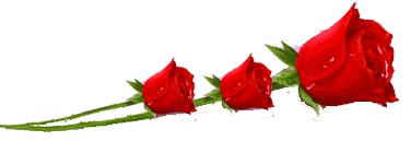  bntpal_1426070163_54
