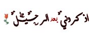bntpal_1426175247_42