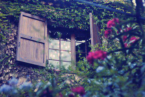 bntpal_1426227513_61