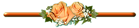 bntpal_1426238273_86