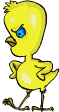bntpal_1426258063_77