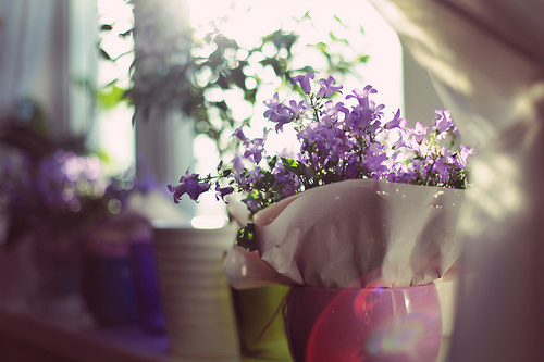 bntpal_1426299707_22