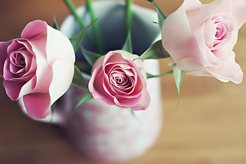 bntpal_1426299710_79