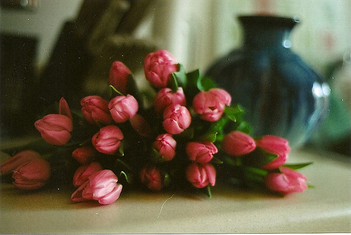 bntpal_1426299714_77