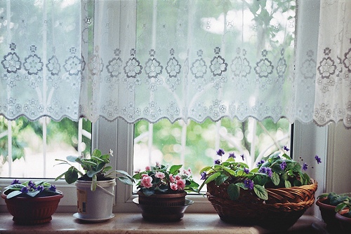 bntpal_1426299715_11