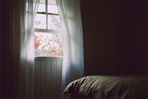 bntpal_1426299906_37