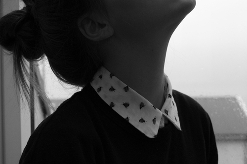  bntpal_1426442191_20