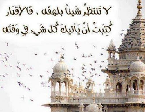bntpal_1426500367_13