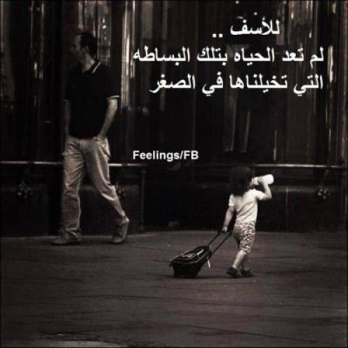 bntpal_1426500367_33