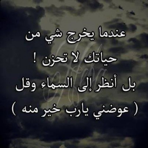 bntpal_1426500367_35