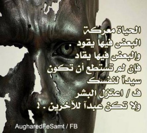 bntpal_1426500367_39