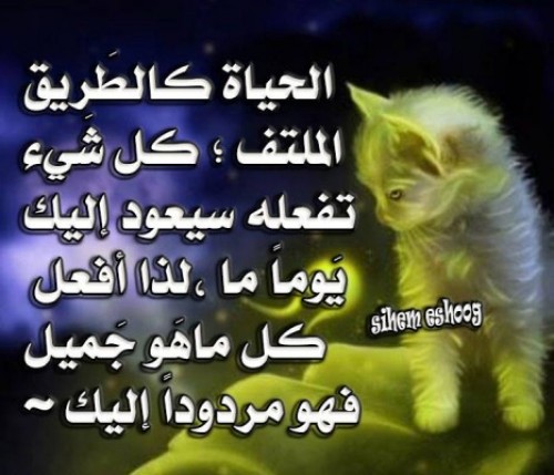 bntpal_1426500367_42