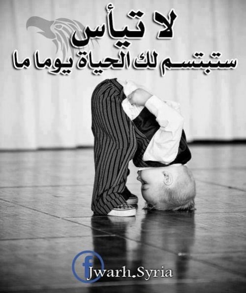 bntpal_1426500367_49